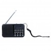 Skaitmeninis Nešiojamas FM Radijo Imtuvas 70-108Mhz (USB, SD, Li-ion baterija, prožektorius)