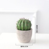 Dirbtinis Kaktusas Vazonėlyje (Interjero Dekoracija 9,1 X 6,2 cm)